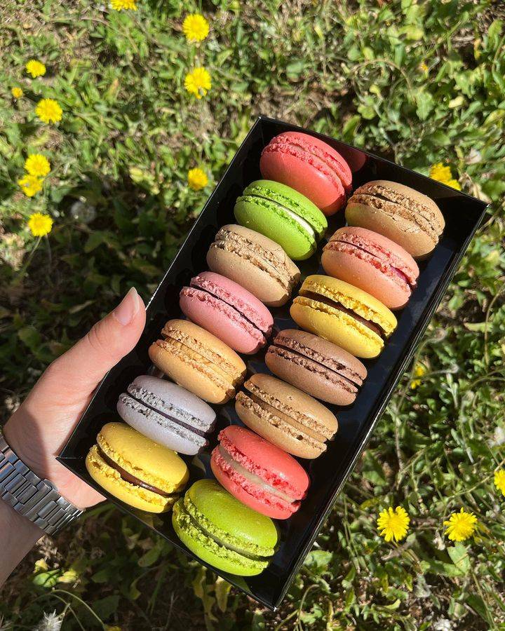 macarons